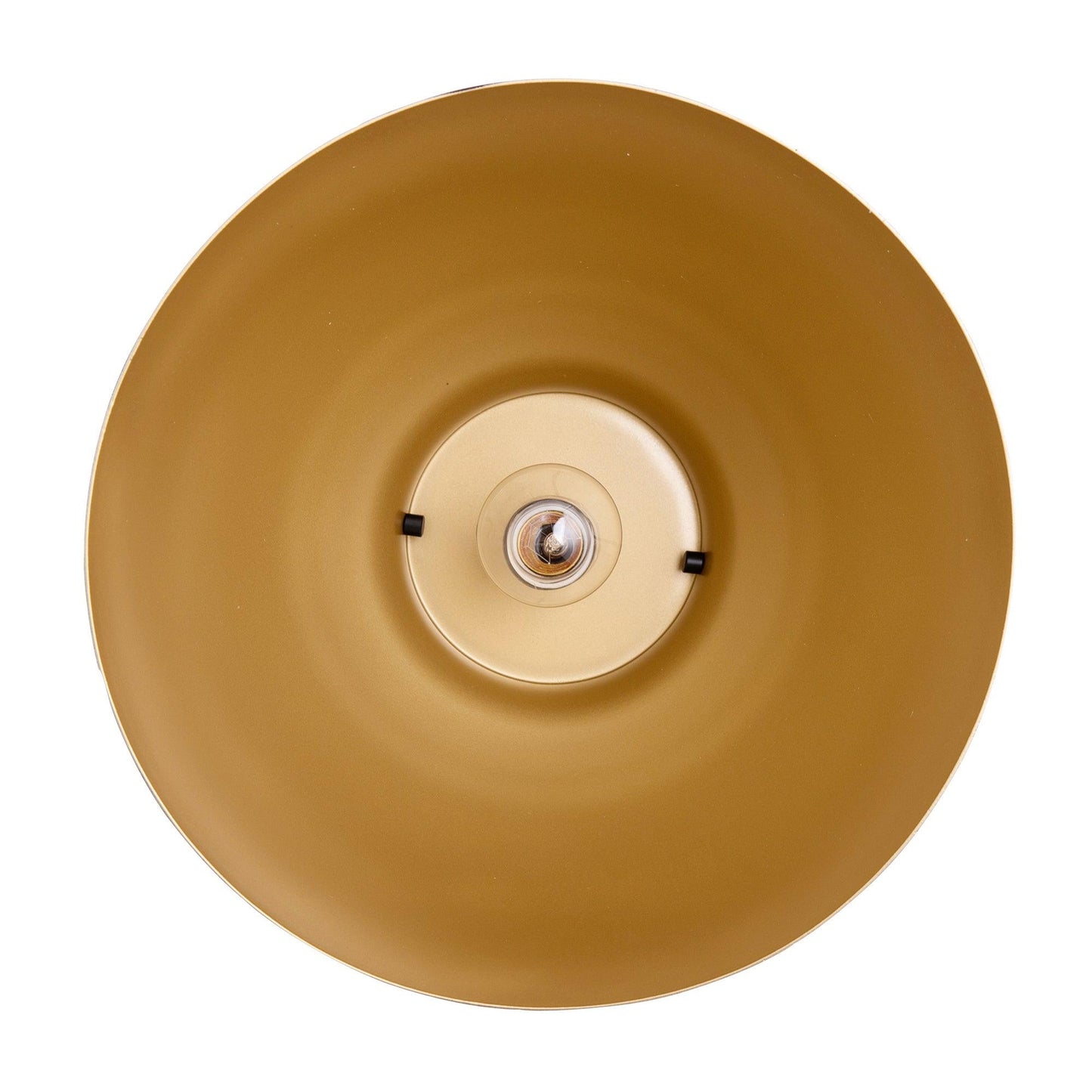 Modern 1-Light Metal Dimmable Pendant Light